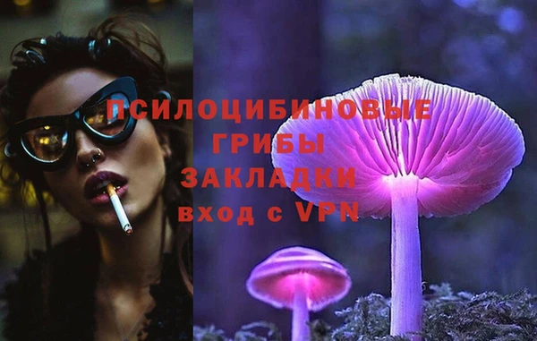 кокс Баксан