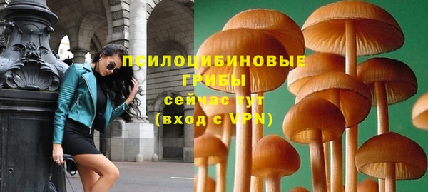 винт Балахна