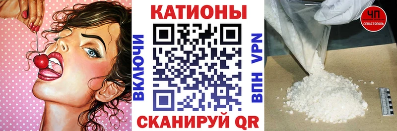 МЕФ  Кувшиново