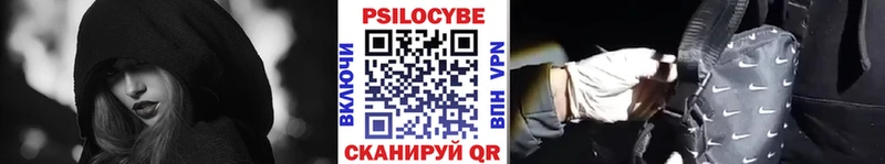 Псилоцибиновые грибы Cubensis  Кувшиново 